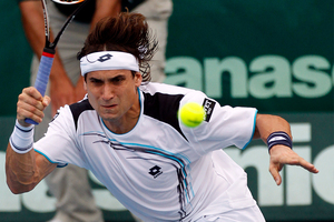 David Ferrer, the world No 5, will return in January to chase a third-straight Heineken Open title. Photo / Dean Purcell.