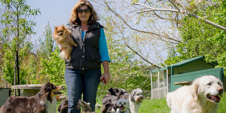 Sandra Darcy uploads pictures of dogs at ther Bethells farmstay to Facebook every couple of days. Photo / Ted Baghurst