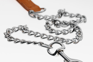 The owner was sentenced to 70 hours community work and ordered to pay $500 reparation to the SPCA. Photo / Thinkstock