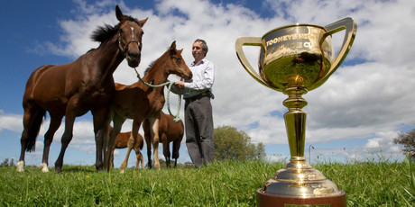 Leon Casey with Melbourne cup winner Ethereal (far left). Photo / Steven McNicholl