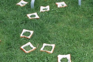 Trudy Renner Falconer finds Forrest Hill birds have been taking lessons on not eating crusts from the kids. Photo / Supplied
