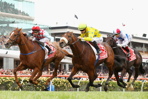 Heartbreak for Ed Dunlop as Dunaden (yellow colours) noses out Red Cadeaux in last year's Melbourne Cup. Photo / Getty Images