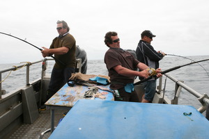 Andy (left) and Ginty Morrogh lean into hapuku while Lionel Korach (right) tackles a red snapper on his light rod. Photo / Geoff Thomas
