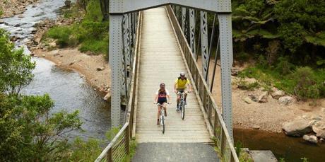 Rail bridge on the Hauraki Rail Trail. Photo / Supplied