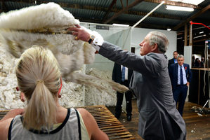 Britain's Prince Charles throws fleece onto a table during a visit to the Leenavale Sheep Stud at Sorell, near Hobart, Australia. Photo / AP