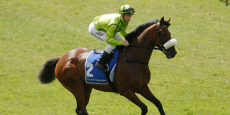 McDonald's Trainer Murray Baker was looking for anything after It's A Dundeel finished a distant seventh in Saturday's A$1.5 million Victoria Derby at Flemington. Photo / Sarah Ivey