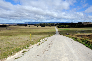 Foreign investment in assets like the Crafar farms will be on the agenda of new political party Unified NZ. File photo / NZ Herald