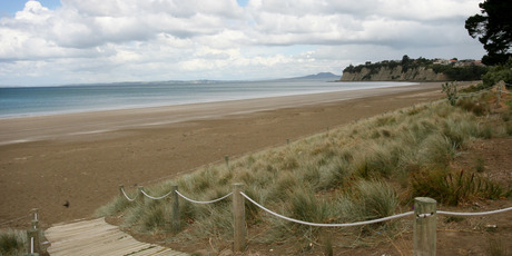 Bin Chen often goes for hour-long walks in an area of Long Bay Regional Park on Auckland's North Shore. Photo / NZ Herald