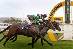 Honest stayer Blood Brotha (No 1) is a chance in race 9 at Riccarton today. Photo / Bevan Conley