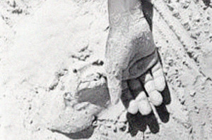 Book cover of Floundering. Photo / Supplied