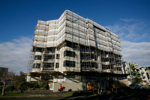 Many owners of leaky homes do not qualify for the Government's rescue package.