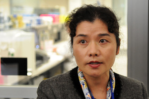 The number of patients with the potentially severe infection is around one-third greater than was previously thought. Photo / NZPA