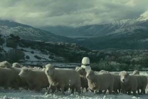 The snowman star in a Kiwi setting for a white 'Christmas'. Photo / Supplied