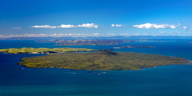 Nature lovers will soon be taking guided walks on Rangitoto and its adjoining neighbour Motutapu, home to recently released brown kiwis.