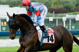 Shane Dye has not ridden on raceday for 2 years. Photo / Dean Purcell.