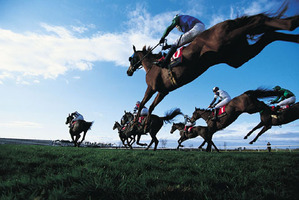 Mr Pakula said the Government could introduce legislation which would give Racing Victoria the powers they have been asking for. Photo / Thinkstock