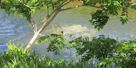 The car sunk in the Ohinemuri River. Photo / Supplied