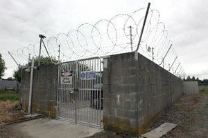 More than 100 homeless dogs to arrive at the Masterton dog pound this year have been put down, mainly by firearm. Photo / Wairarapa Times-Age