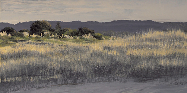 Transfusion Art 2010's winning entry Ohiwa Dunes was stolen from Waikato Hospital last week. Photo / Supplied