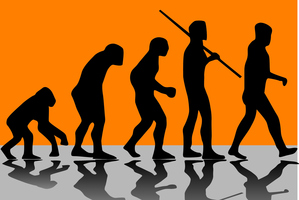 A scientist has raised the prospect that our evolution may have peaked. Photo / Getty Images