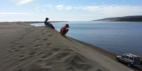 Remarkable sand dunes, unhurried roads and welcoming hosts are just some of the features of Port Waikato. Photo / Supplied