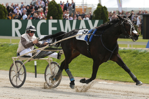 Mark Purdon drives I Can Doosit. Photo / Getty Images