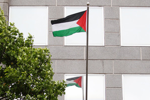 The flag raised by protesters. Photo / Doug Sherring