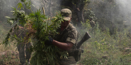 Mexico may struggle to enforce a ban on smuggling marijuana, which is now legal in some US states. Photo / AP