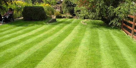 If the grass has got away on you over the spring, it is important not to try to scalp it back too much on the first cut. Photo / Supplied
