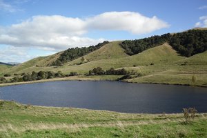 Farmers, industries and other large users may be charged for water under a new policy being developed. Photo / APN