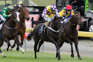 Sacred Falls (centre) held off Oasis Rose (outer) and Warhorse (rails) to win the 2000 Guineas. Picture / SNPA