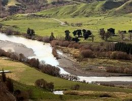 A group of about 80 farmers attended a Beef and Lamb New Zealand focus day in Ponatahi. Photo / File
