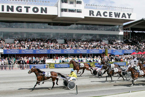 Auckland Reactor, unwanted by punters, faces the crossroads in tomorrow's NZ Cup. Photo / NZPA