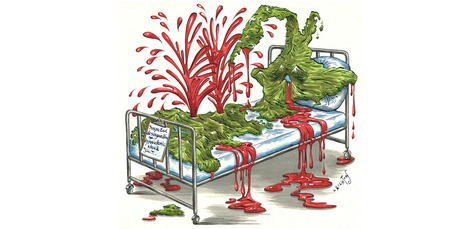 Illustration / Anna Crichton