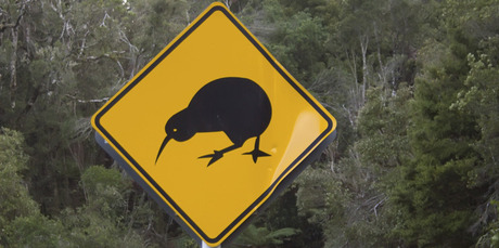 Govt has unveiled details of its KiwiSaver default funder review. Photo / Thinkstock