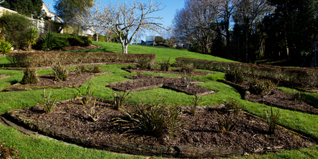 Konini Reserve, Greenlane. Photo / Richard Robinson