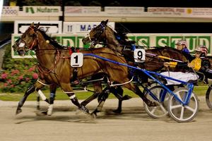 Sushi Sushi wins the 2011 Woodlands Stud Northern Derby. Photo / Greg Purcell