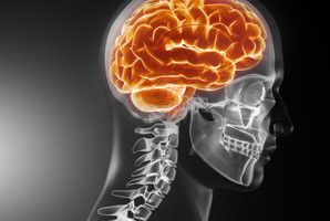 File photo / Thinkstock