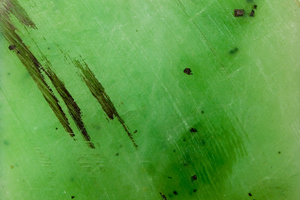 Photo / Thinkstock