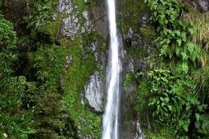 McGregor Falls, in Tararua Forest Park. Photo / File photo