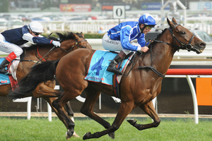Kerrin McEvoy. Photo / Getty Images