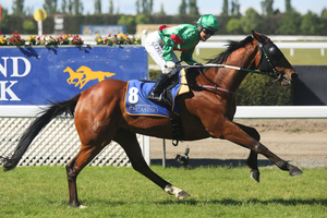 Blood Brotha scooted away from his rivals in the NZ Cup at Riccarton on Saturday. Photo / Getty Images
