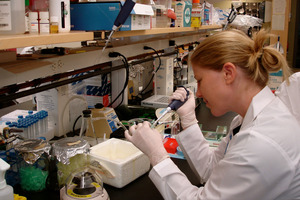 Jessie Jacobsen became interested in the causes of autism spectrum disorders during her post-doctoral research in Massachusetts. Photo / Supplied