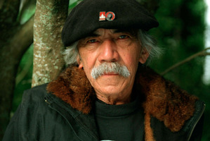 New Zealand artist Ralph Hotere. Photo / Ross Coombes