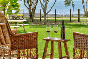 Man 'O War Vineyard. Photo / Supplied