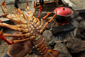 The squeeze on discretionary spending in China is affecting crayfish export prices. Photo / Alan Gibson