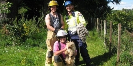 Volunteer Eketahuna firefighters, from left, Johan van Vliet, acting fire chief Max Mayer, and Ryan Seator, who plucked Australian terrier Fergie from his four-day perch.
