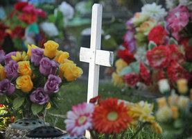 File Photo / NZ Herald