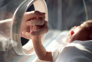 Photo / Thinkstock