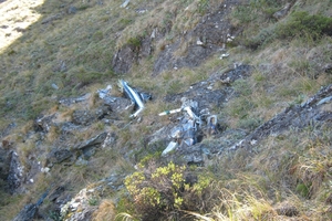 The crash wreckage. Photo / supplied